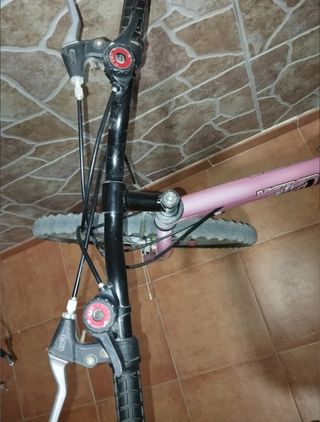Bicicleta niña VEREDA JL WENTI