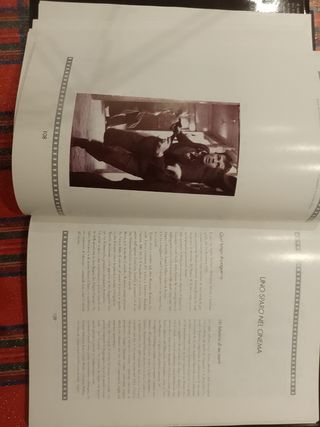 Libro Hollywood di casa nostra.