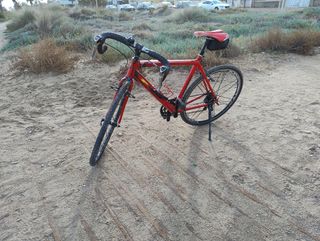 Bicicleta de carretera / trekking 