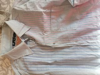 LOTE DE 3 CAMISAS DE MARCA