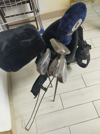 Saco y palos de Golf