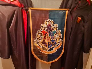 2 Disfraces Harry Potter 