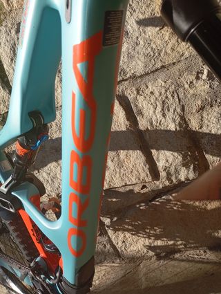Orbea occam