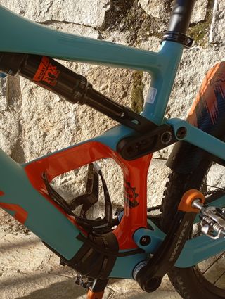 Orbea occam