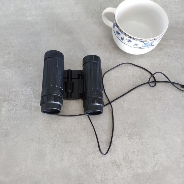 Prismaticos pequeños