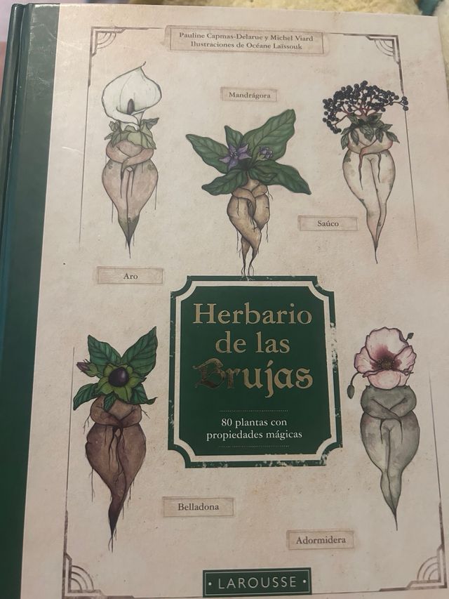 Herbario de las brujas: 80 plantas