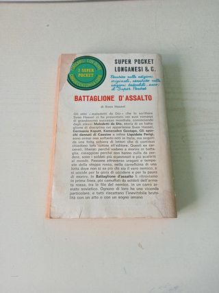 Battaglione d'assalto.