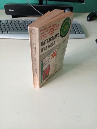 Battaglione d'assalto.