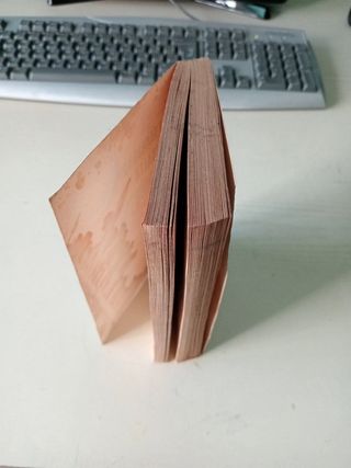 Battaglione d'assalto.