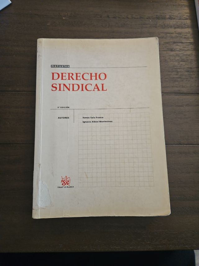 Derecho Sindical (Spanish Edition)