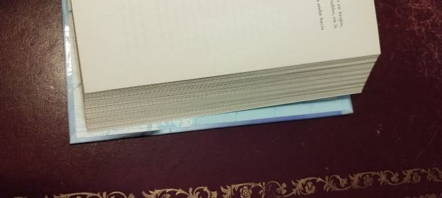 La ciudad de las bestias (serie infinita) (Spanish Edition)