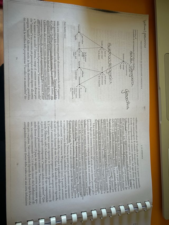 Materiale “Processi cognitivi ed educazi