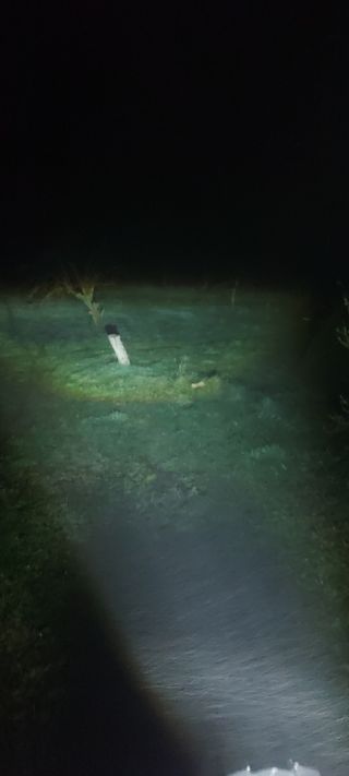 Ojo de ángel con bluetooth