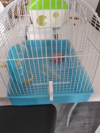 Jaula hamster