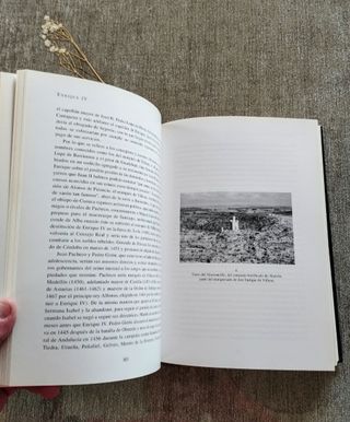 Enrique IV. Editorial Nerea 2003 (1ªEd)