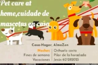 Cuidado de Mascotas.