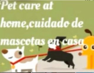 Cuidado de Mascotas.
