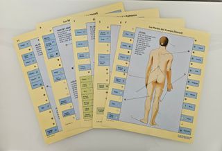 Juego de mesa Lectron conoce tu cuerpo