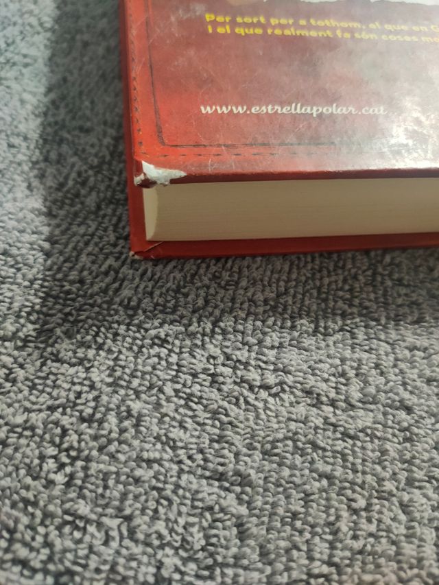 Diari del Greg 1. Un pringat total: Una novel·la bastant il·lustrada