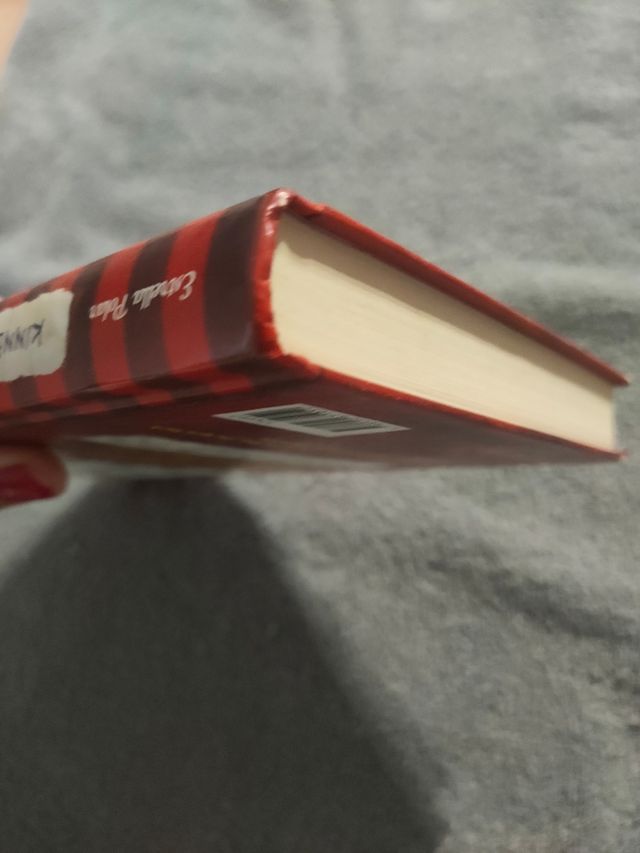 Diari del Greg 1. Un pringat total: Una novel·la bastant il·lustrada