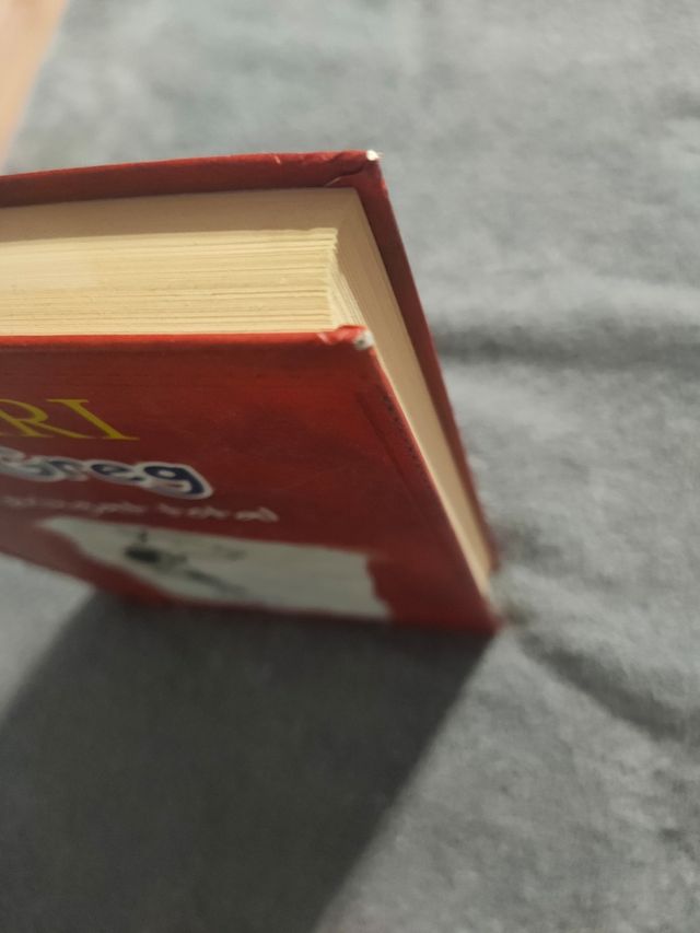 Diari del Greg 1. Un pringat total: Una novel·la bastant il·lustrada