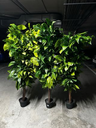 Plantas artificiales