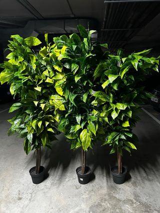 Plantas artificiales