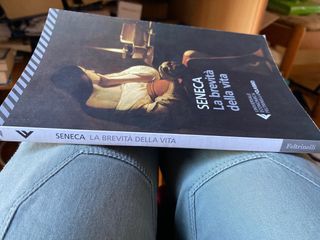 La brevità della vita (Italian Edition)