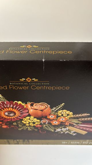 10314 LEGO New Centro per i fiori secchi