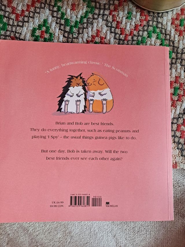 Cuento en ingles, My Best Friend, Bob