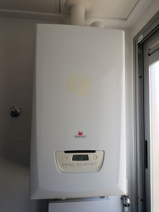 Caldera Saunier Duval Thema Condens 25