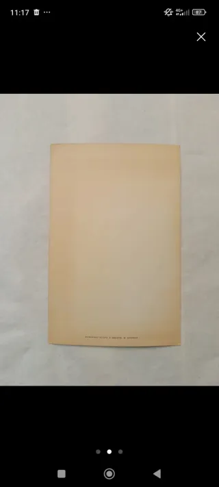 Virgen de Fátima de yeso + foto purisima