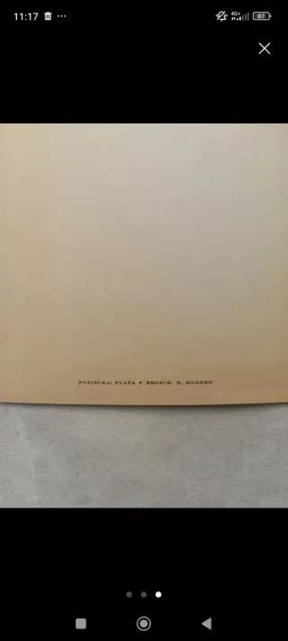 Virgen de Fátima de yeso + foto purisima