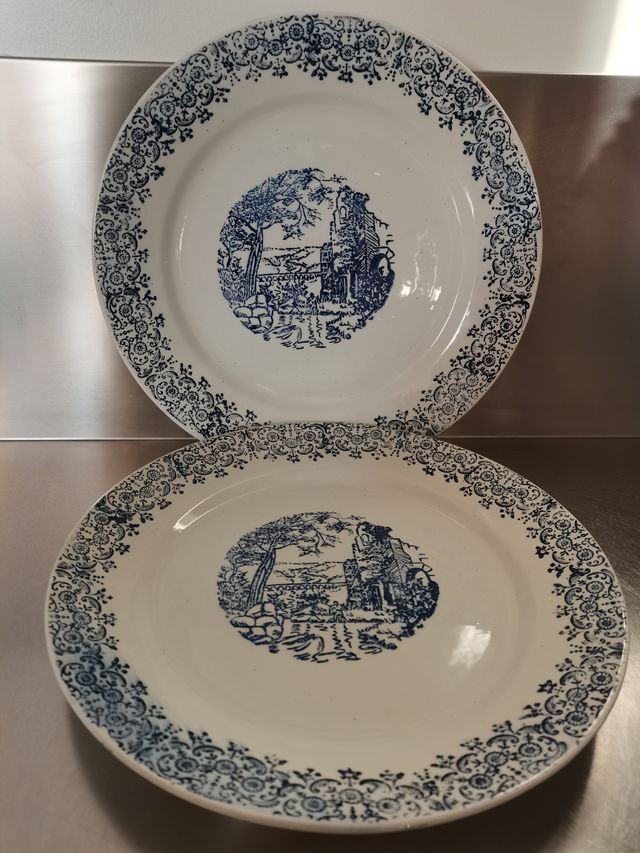 Set 2 piatti grandi, bianco e blu