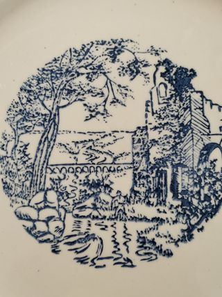 Set 2 piatti grandi, bianco e blu