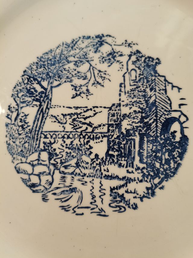 Set 2 piatti grandi, bianco e blu