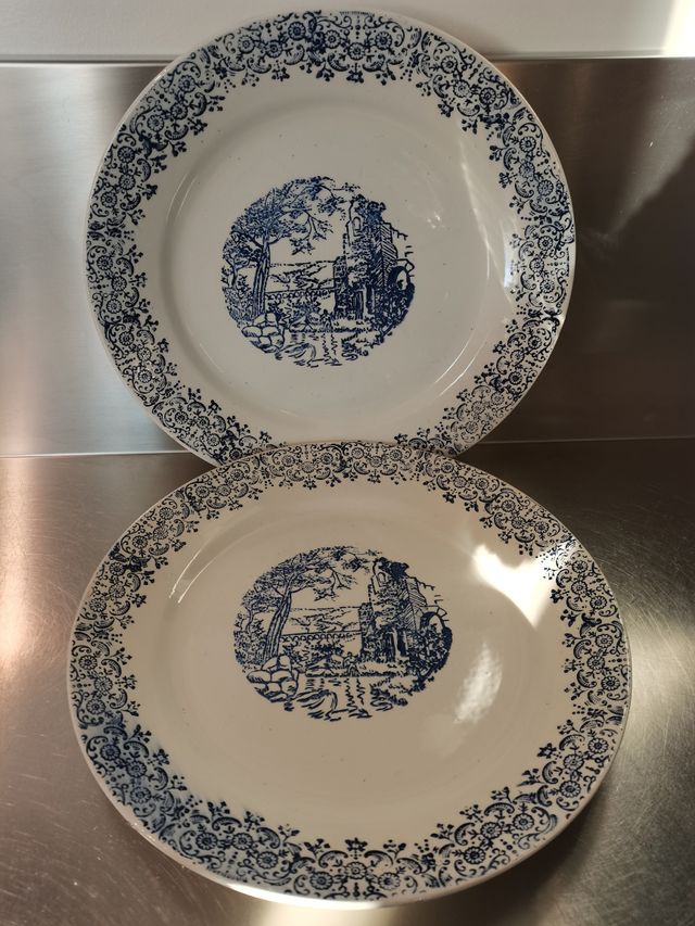 Set 2 piatti grandi, bianco e blu