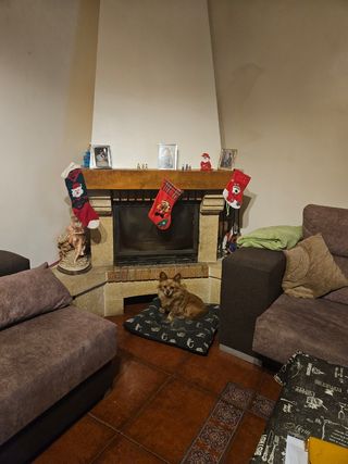 Chimenea leña