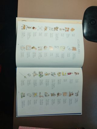 Don Quijote de la Mancha (Pictogramas En La Historia De / Pictograms in the History of) (Spanish Edition)