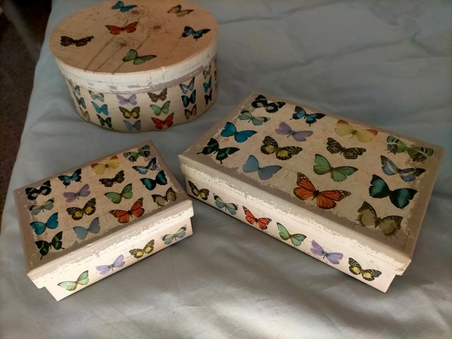 Juego de cajas de mariposas