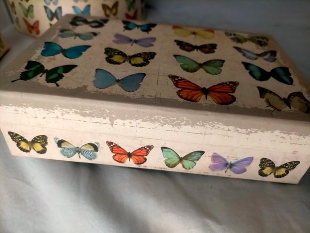 Juego de cajas de mariposas