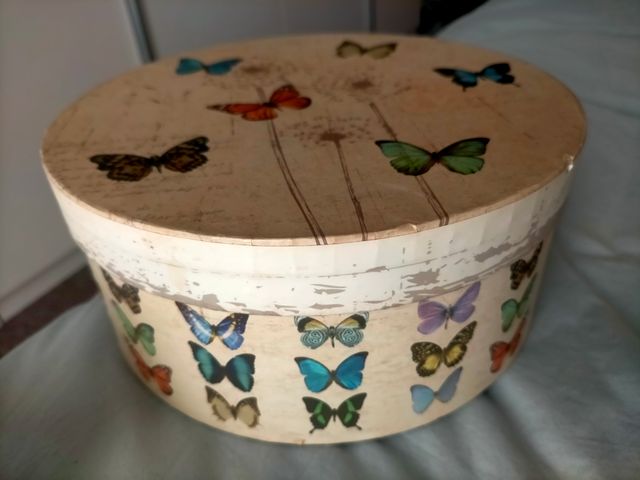 Juego de cajas de mariposas