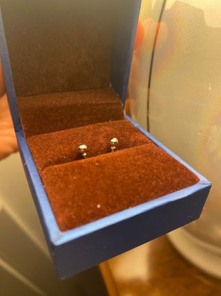 Orecchini acciaio Donna