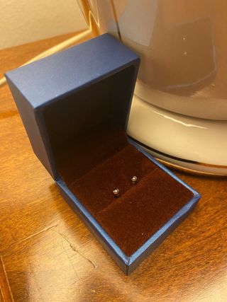 Orecchini acciaio Donna