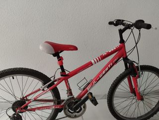 Bicicleta de montaña
