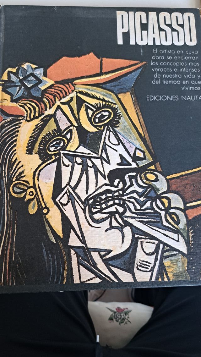 Libro Picasso