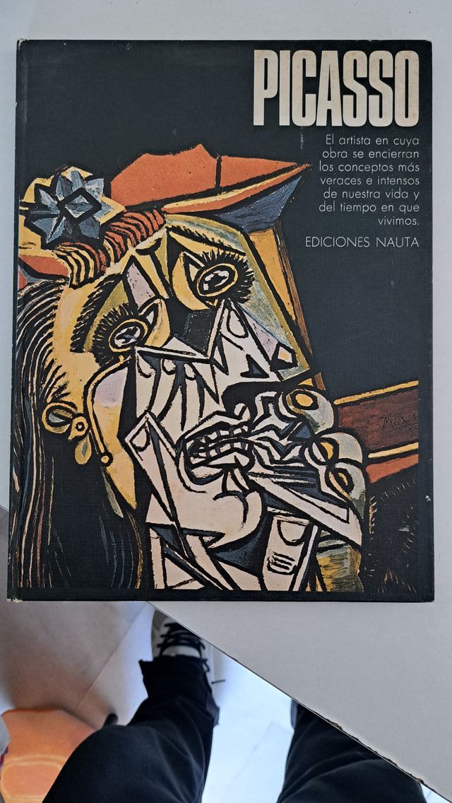 Libro Picasso