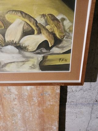 Dipinto  funghi