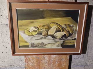 Dipinto  funghi