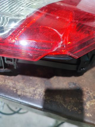 Piloto trasero izquierdo Ford transit